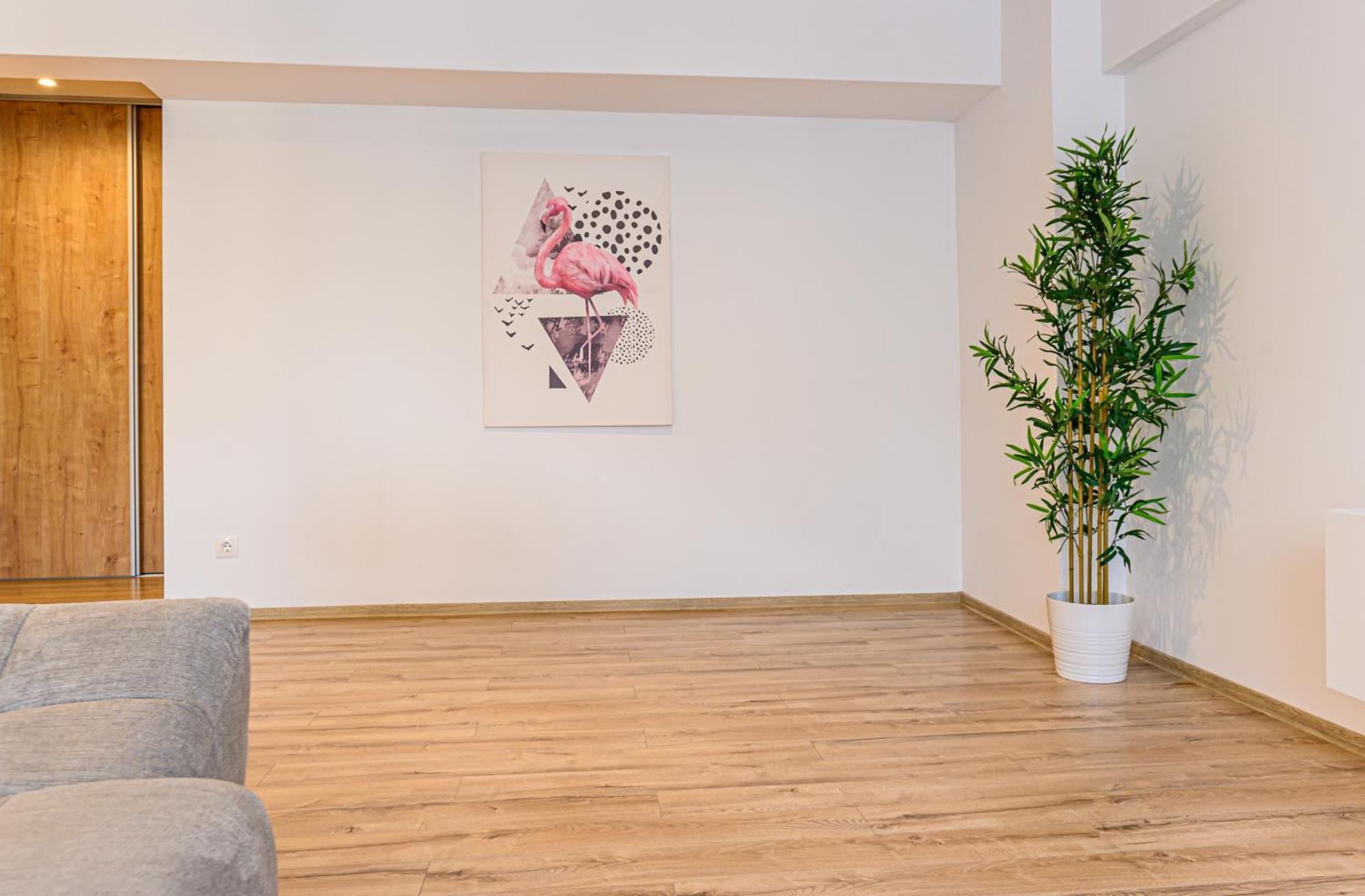 Koa - Pandora Apartments Brașov Cameră foto